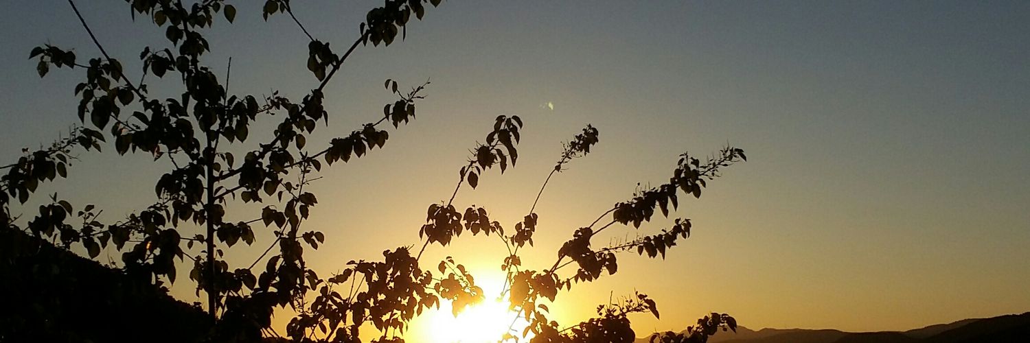 meryemdipi's profile banner image