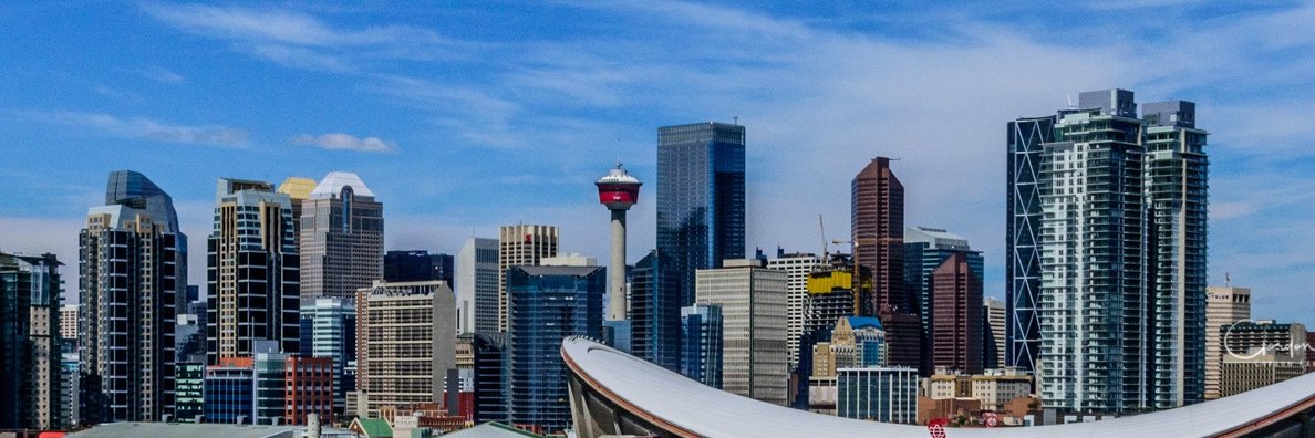 Ola Witukiewicz banner