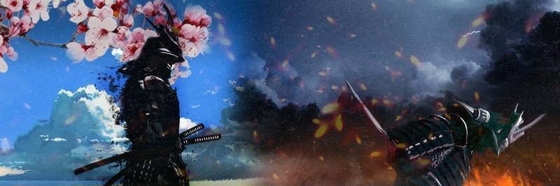 ToasterDodo's profile banner image