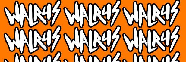 walrus_band's profile banner image