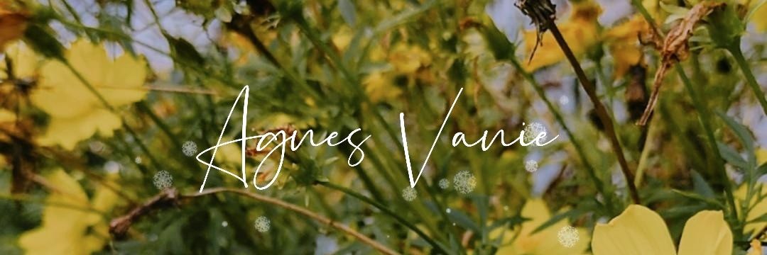 agnesvanie's profile banner image