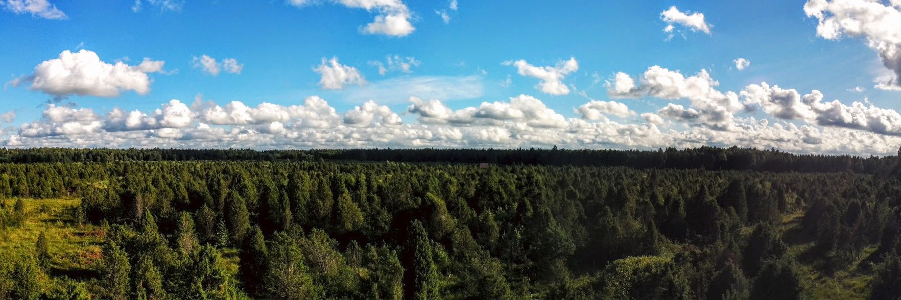 tadaskb's profile banner image
