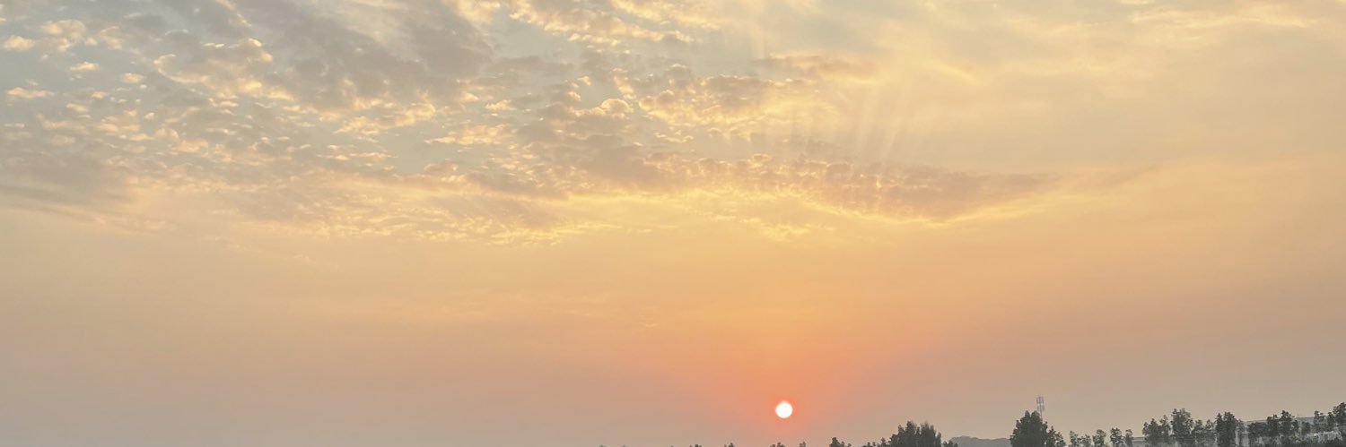 saaral_ar's profile banner image