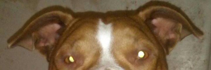 BadenhorstPhil's profile banner image