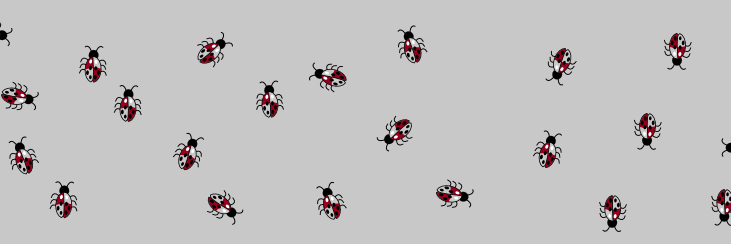 Carlo A. Furia banner