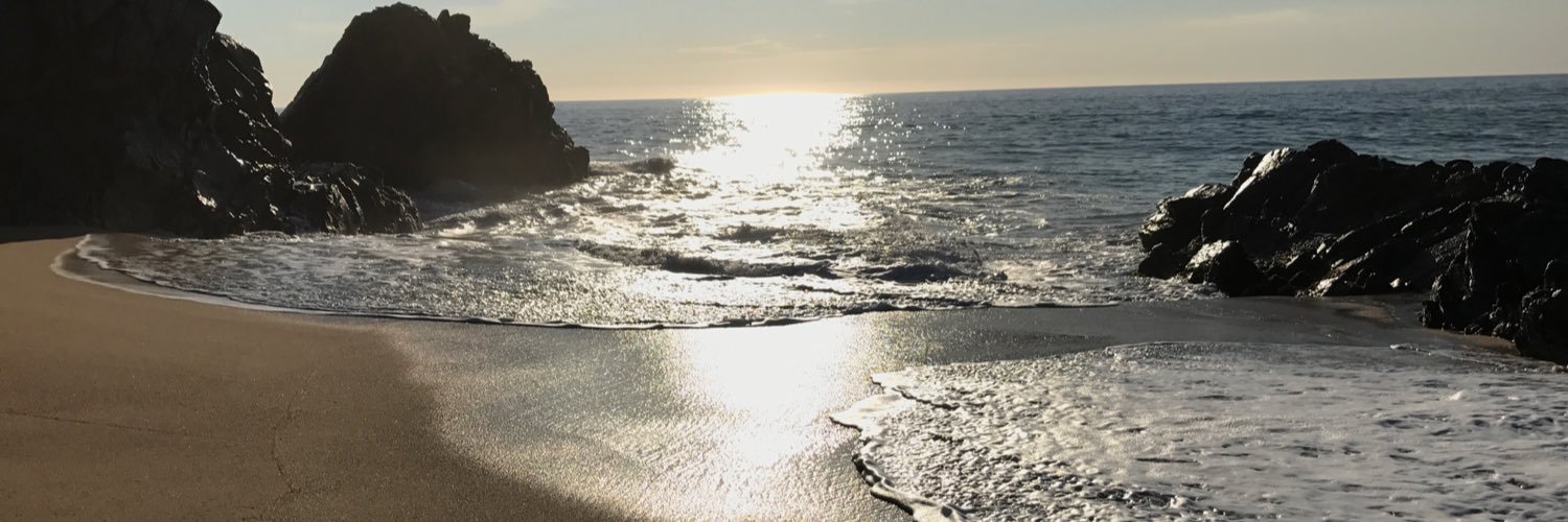 The Real Right Wing Gay banner