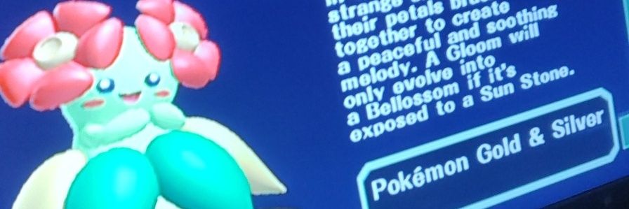 swagwielder's profile banner image