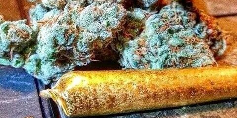 alan21rodriguez's profile banner image