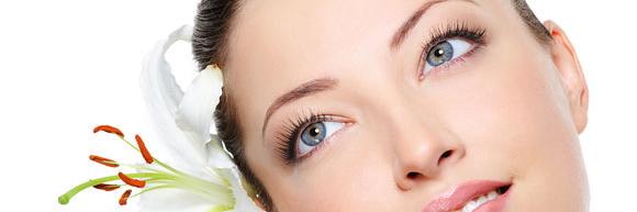 ElizabethSafri's profile banner image