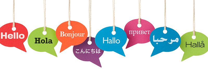 Ripley Languages banner