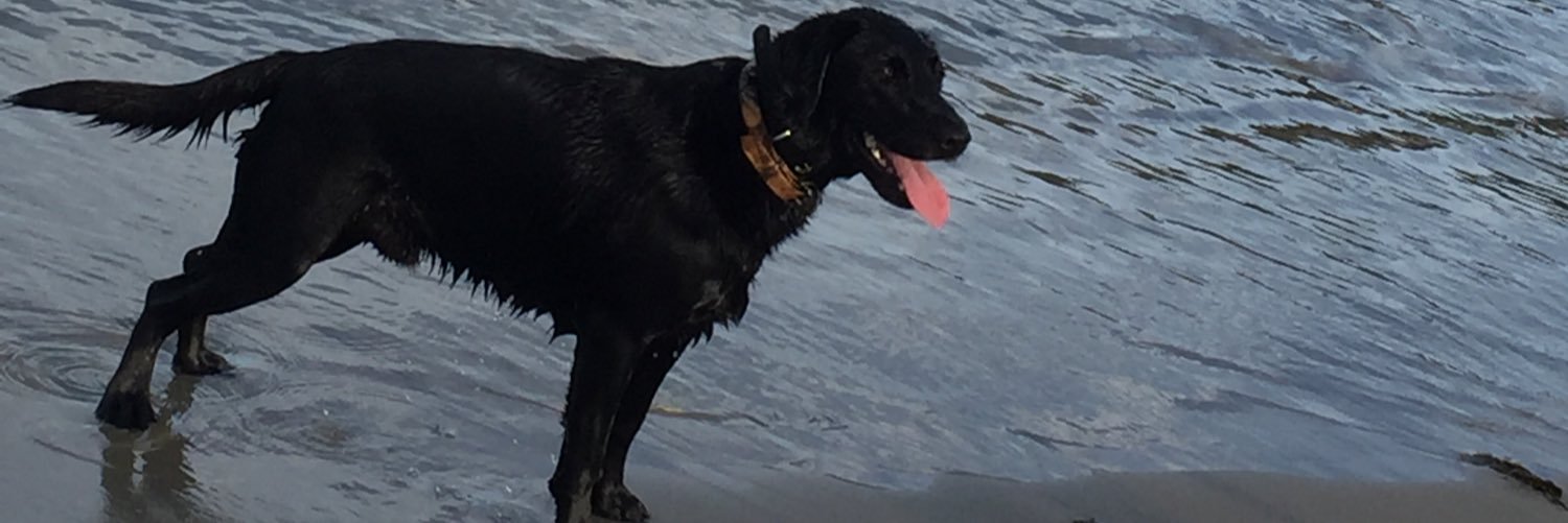 jess_crug's profile banner image
