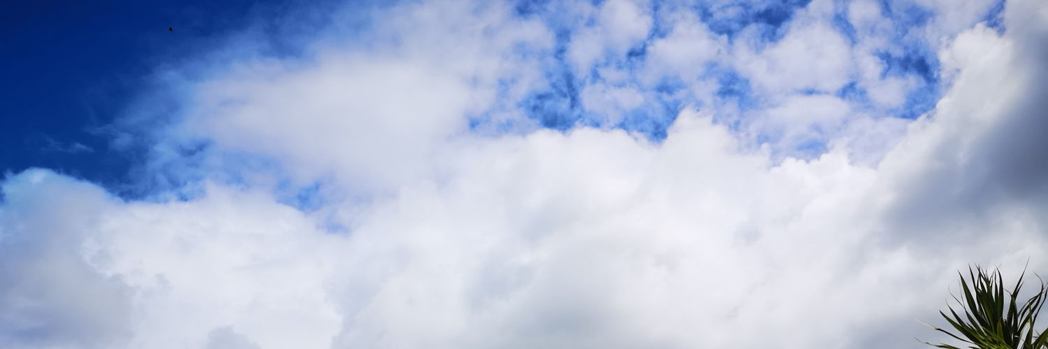 surreal173's profile banner image