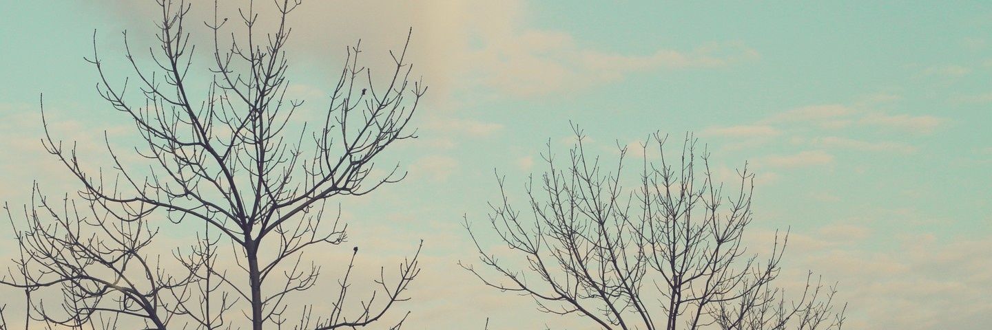 mayankgupta1017's profile banner image