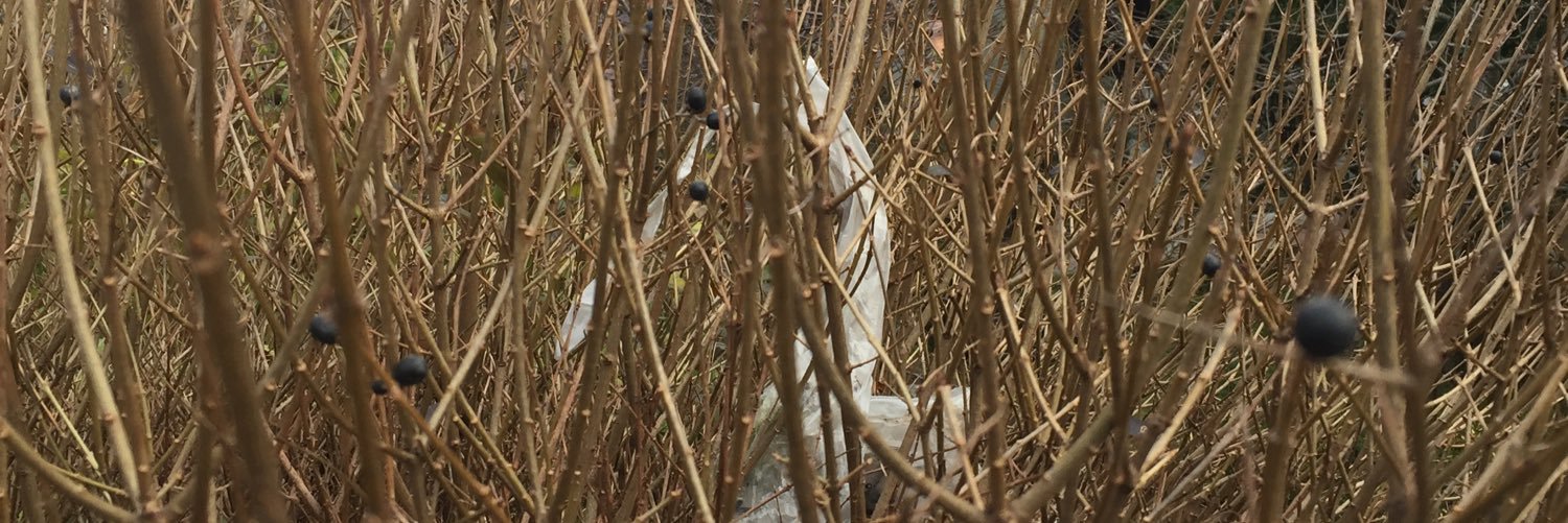 elisnooze's profile banner image