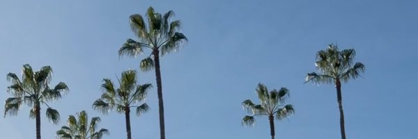 teddygundy Profile Banner