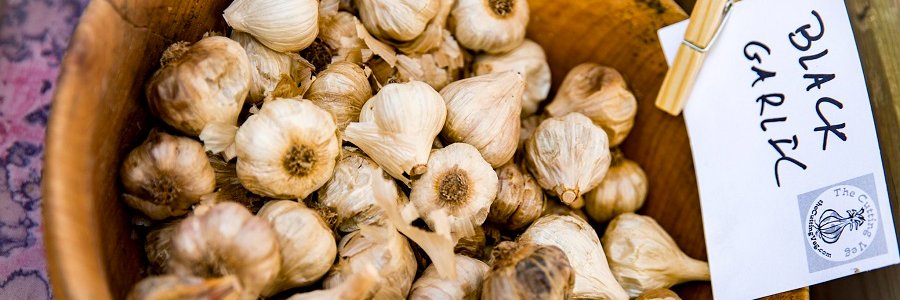 TORONTO GARLIC FESTIVAL banner