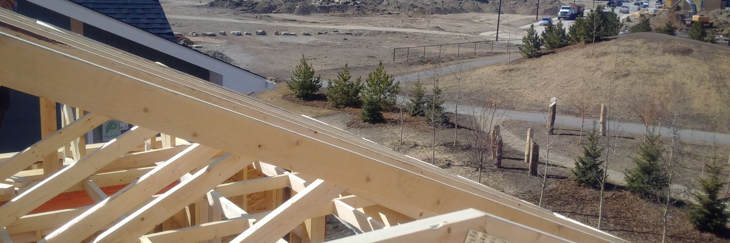 Vampire Alberta banner