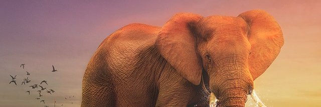 OfficialEpicOff's profile banner image