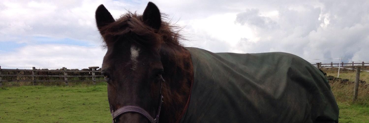 lucyhowarth5's profile banner image