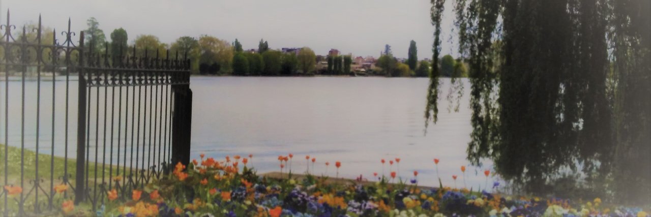 ManueBoudet's profile banner image