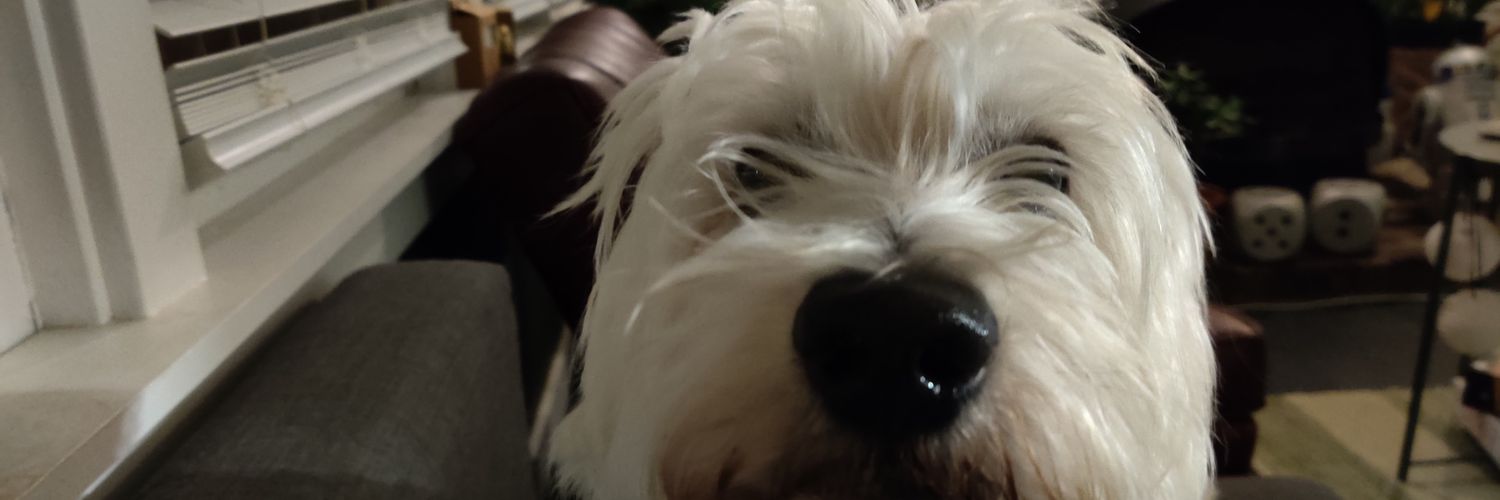 kingfishstacy's profile banner image