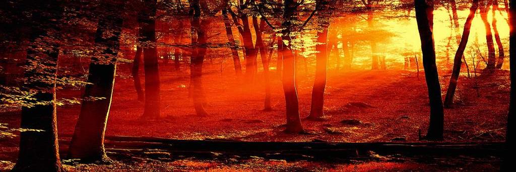 erkarobe1978's profile banner image