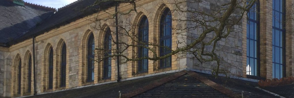 ThePPLuk's profile banner image