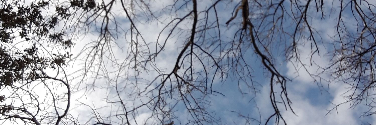 YyBoyaci's profile banner image