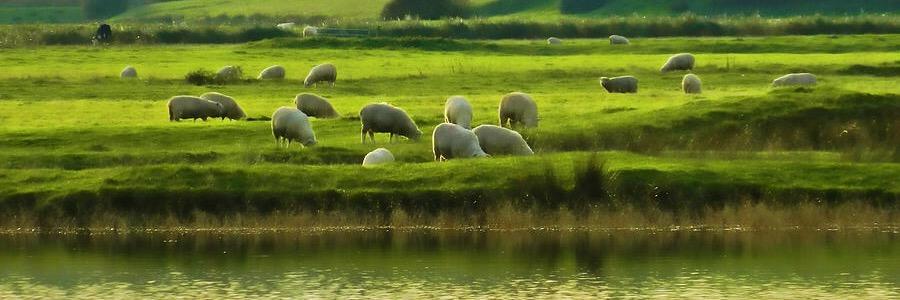 PC_Rural's profile banner image