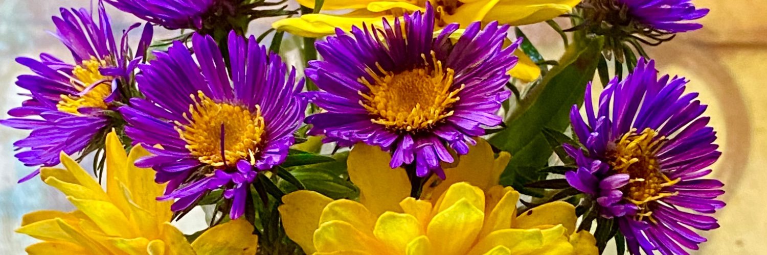 Lady_Rain7's profile banner image