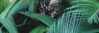 xtoluck's profile banner image
