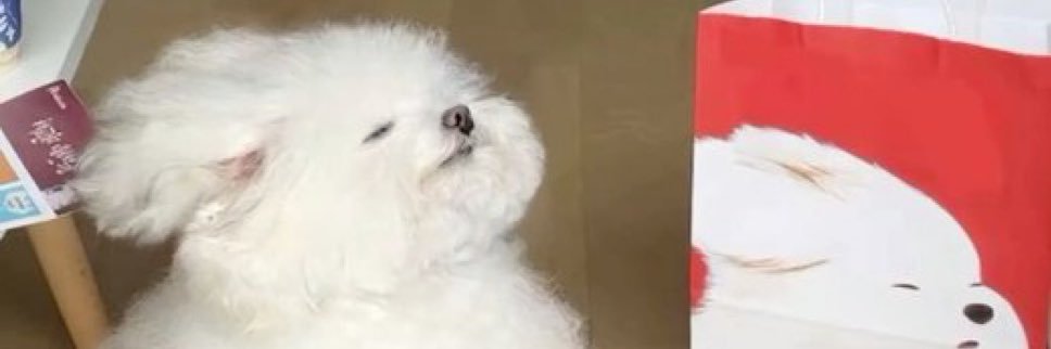 alidesideerro's profile banner image
