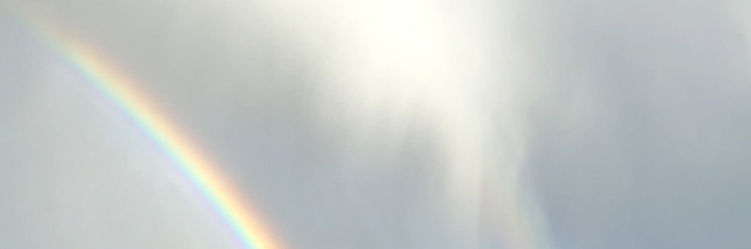 teezaract's profile banner image