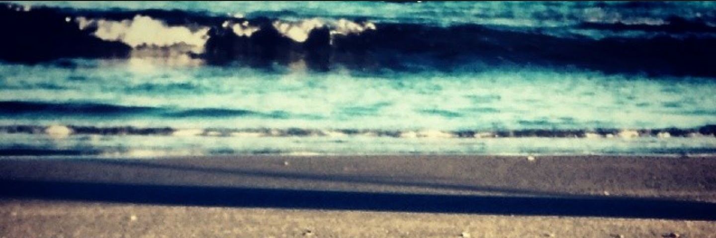 Quis banner