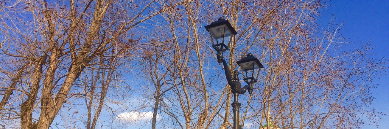 PaleevAnton's profile banner image