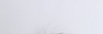 Bacquialintong's profile banner image