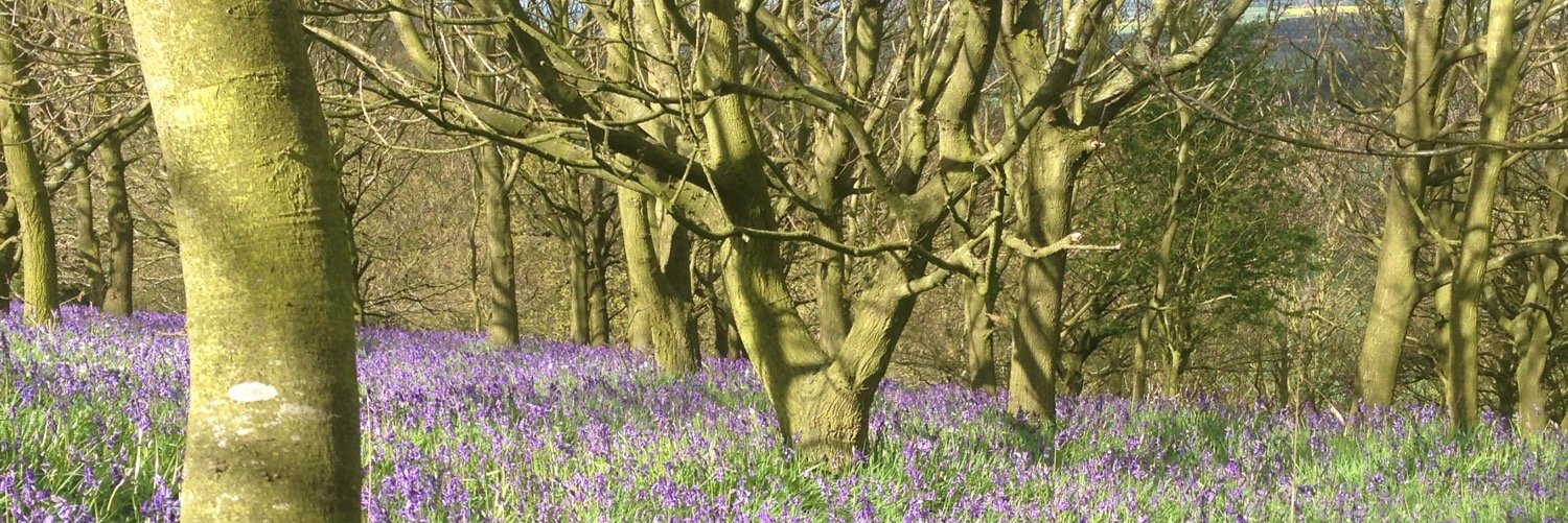 YorkshireStar's profile banner image