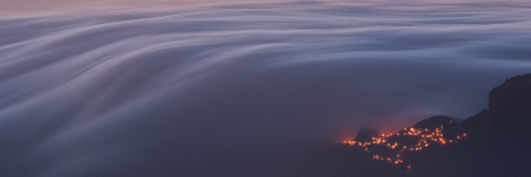 Hauscat_ Profile Banner