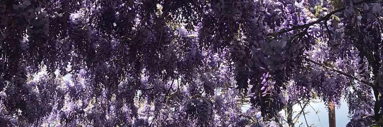 evimalactou's profile banner image
