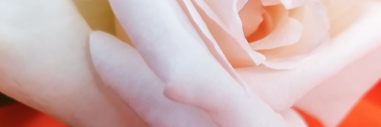 Rangen94's profile banner image