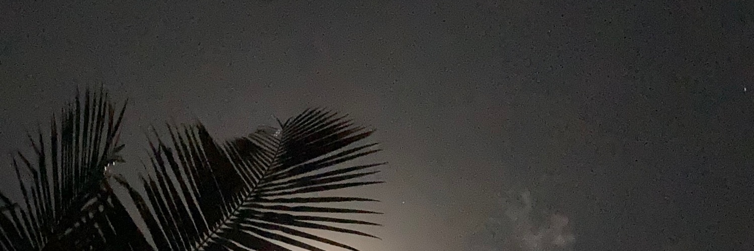 ericaaragoy's profile banner image