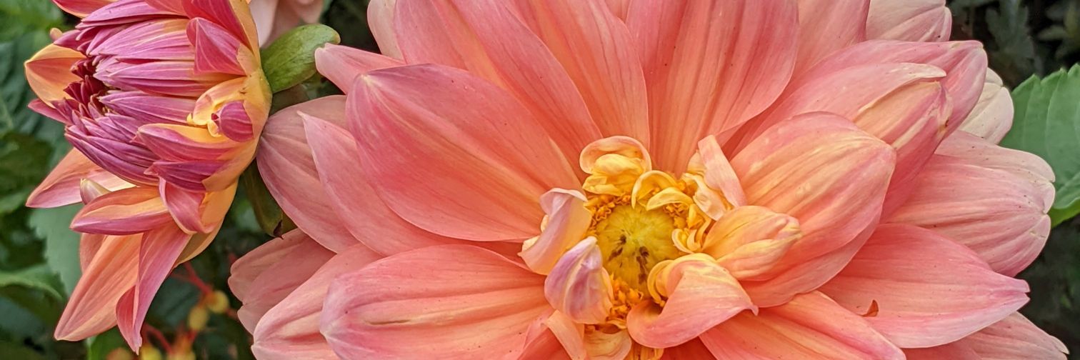 WinnieClausell's profile banner image