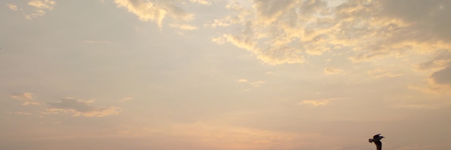 Hazard Garden Eden 🇧🇪 banner