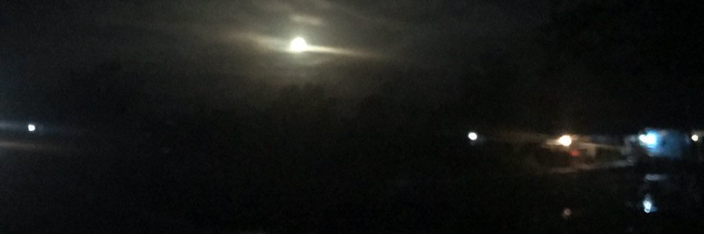 g0r0_'s profile banner image