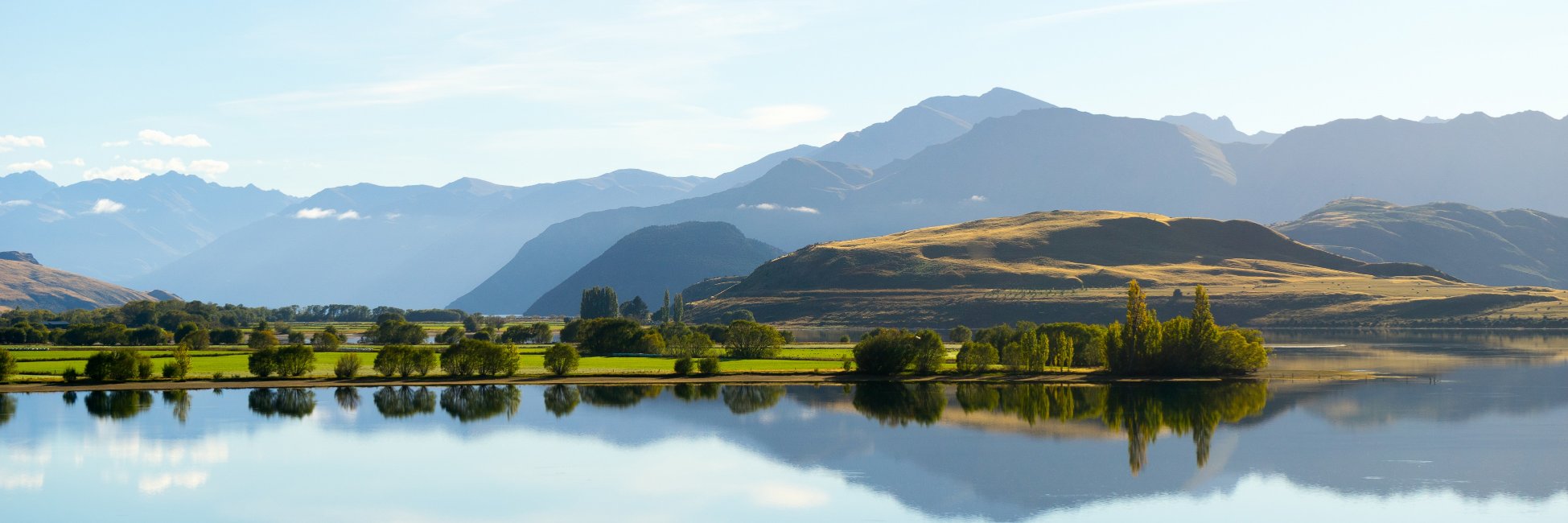 EuthFreeNZ's profile banner image