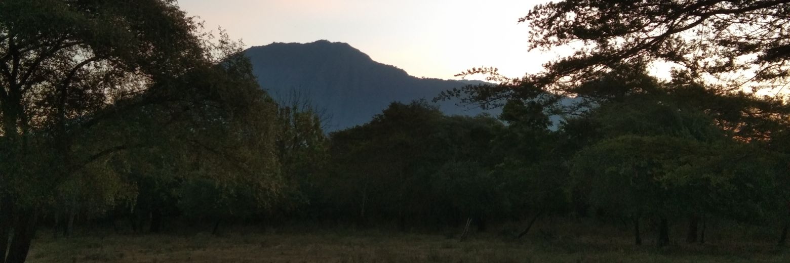 IniBorien's profile banner image