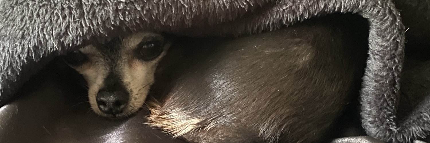 yoooitsal's profile banner image