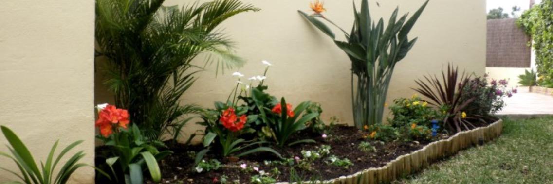 maritaviva's profile banner image