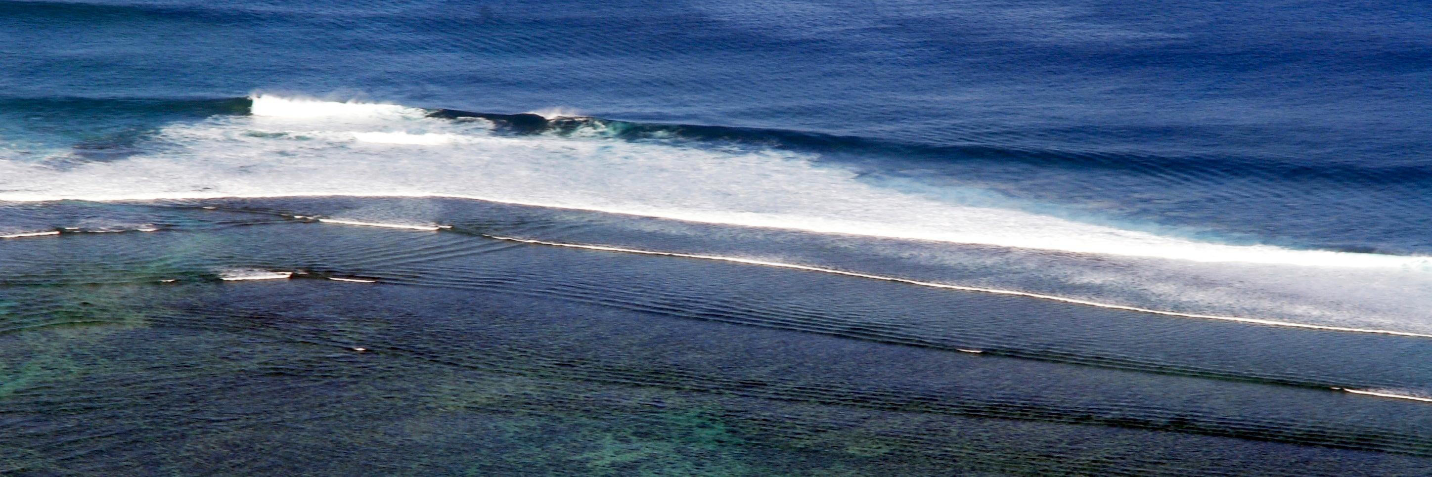ECuccillato's profile banner image