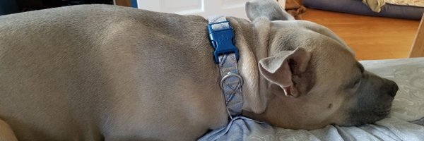 WllyP Profile Banner